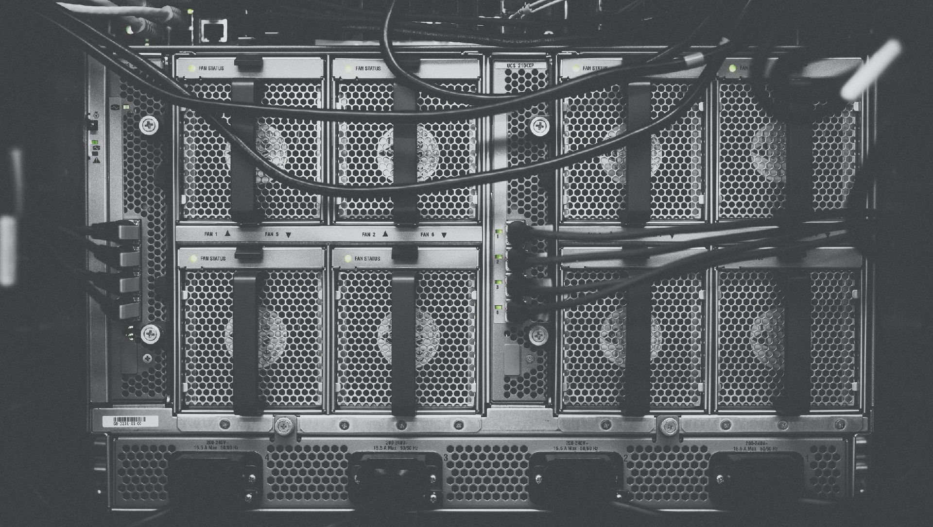 Elevate Your Business: The Essentials of Marketing Management